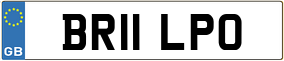 Truck License Plate